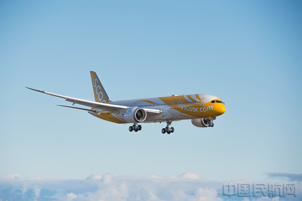 酷航波音787_副本.jpg 酷航波音787_副本.jpg